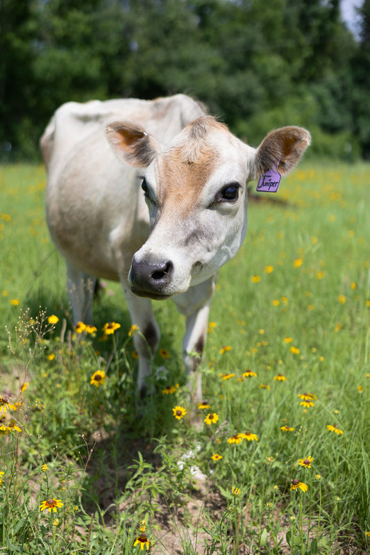 Herdshare Membership