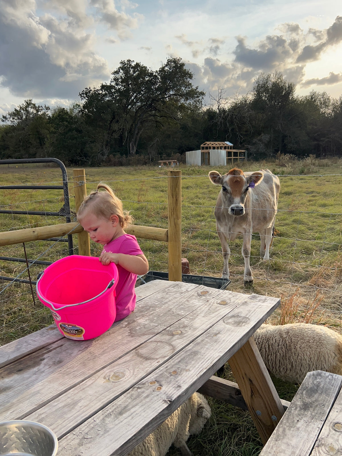 A little pasture inspiration