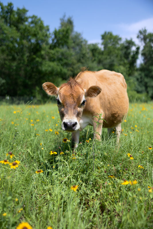 Herdshare Membership